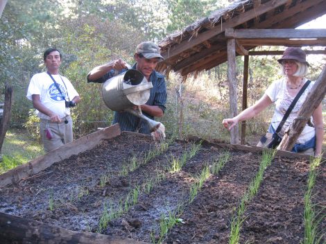 18831770762_f7661cf3e1_k